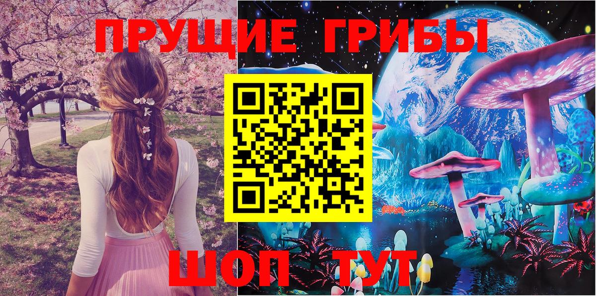 Отрадный  Галлюциногенные грибы Psilocybe  Вход с VPN 