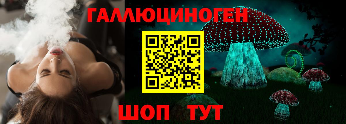 Галлюциногенные грибы GOLDEN TEACHER Отрадный